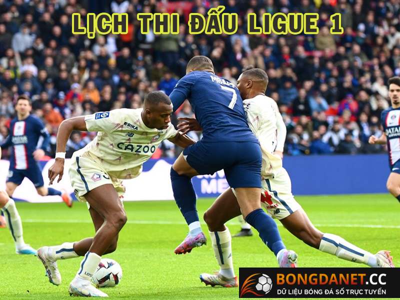 Thông tin về Ligue 1 luôn được các CĐV quan tâm
