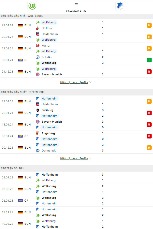 Nhận định bóng đá Wolfsburg vs Hoffenheim, 21h30 ngày 4/2 - Ảnh 1