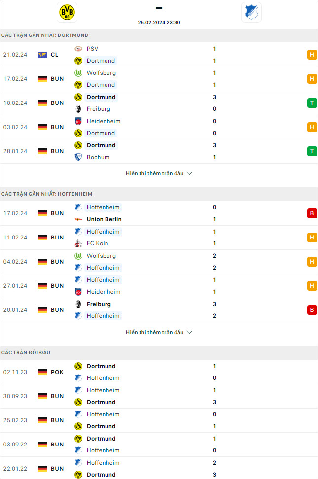 Nhận định bóng đá Dortmund vs Hoffenheim, 23h30 ngày 25/2 - Ảnh 1