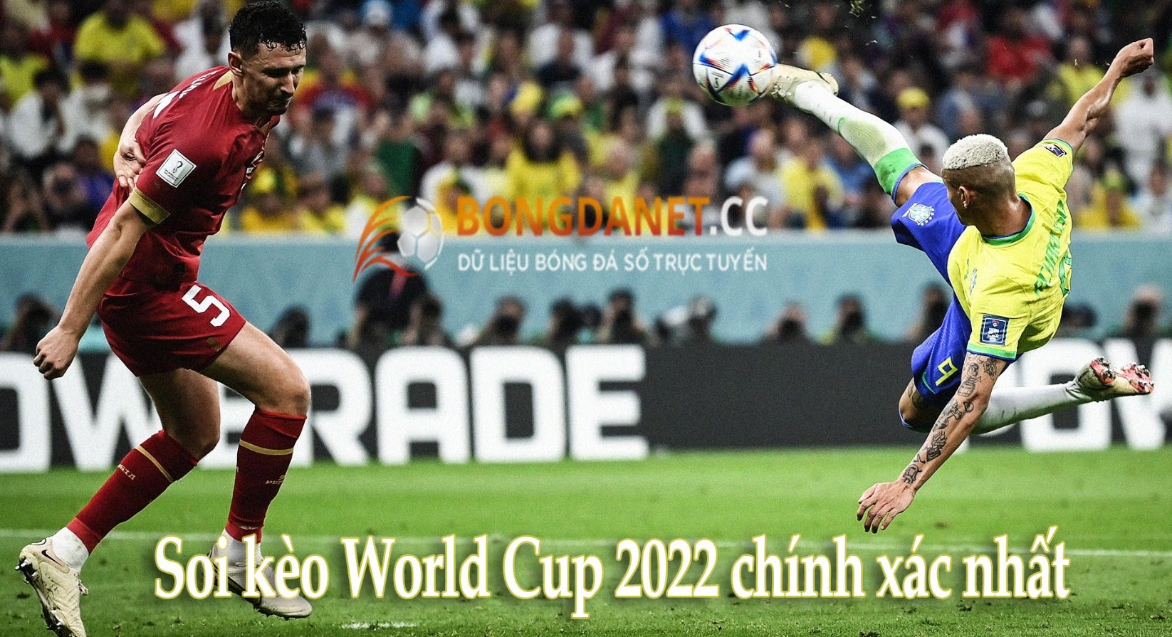 Soi kèo World Cup 2022 chính xác nhất