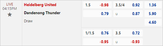 Soi kèo thơm trận Heidelberg United vs Dandenong Thunder, 16h15 ngày 31/5 - VĐ Bang Victoria - Ảnh 1