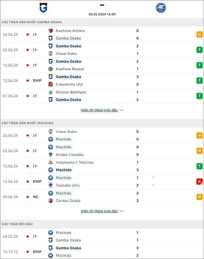 Gamba Osaka vs Machida Zelvia - Ảnh 1