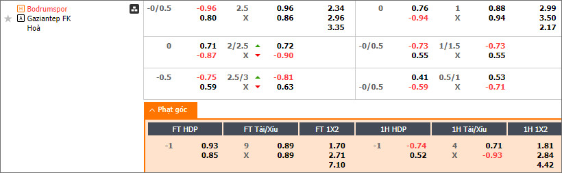 Bodrum vs Gaziantep - Ảnh 1