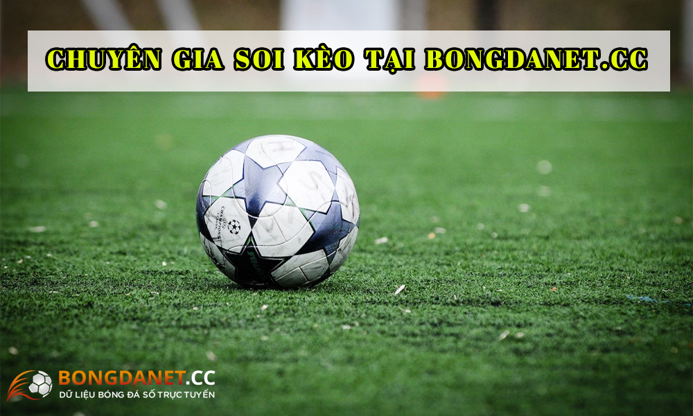 Bóng đá số net: Livescore bóng đá trực tuyến