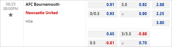 Nhận định bóng đá Bournemouth vs Newcastle, 20h ngày 25/8 - Ảnh 3