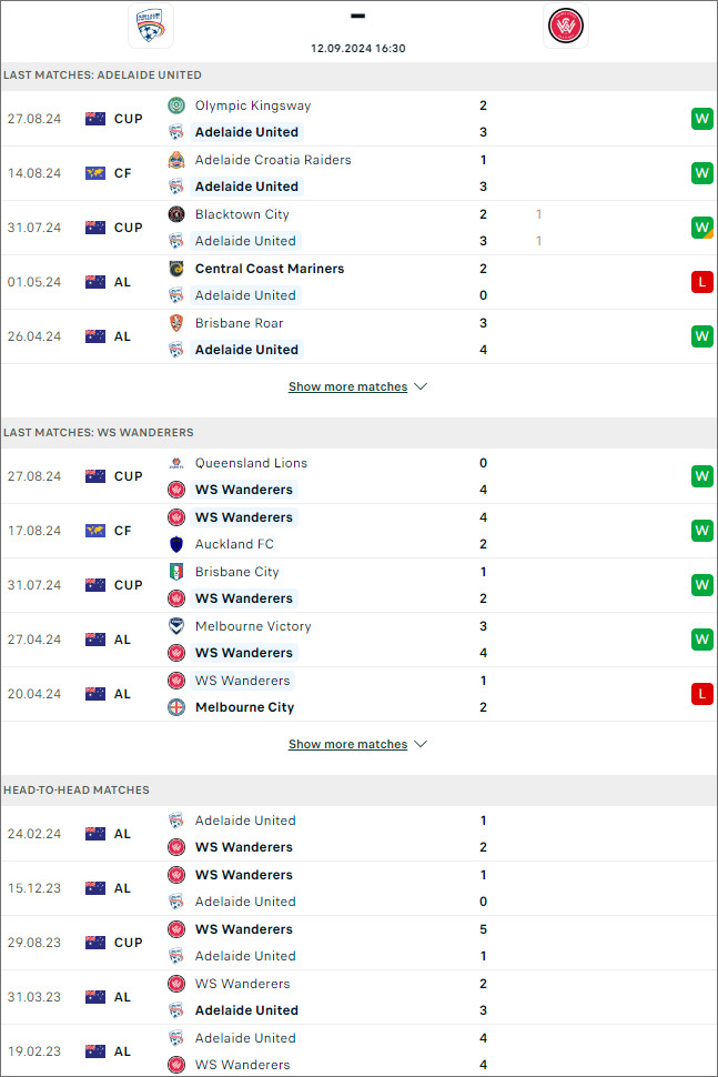 Adelaide vs WS Wanderers - Ảnh 1