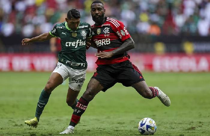 Nhận định bóng đá Flamengo vs Palmeiras, 7h30 ngày 9/11