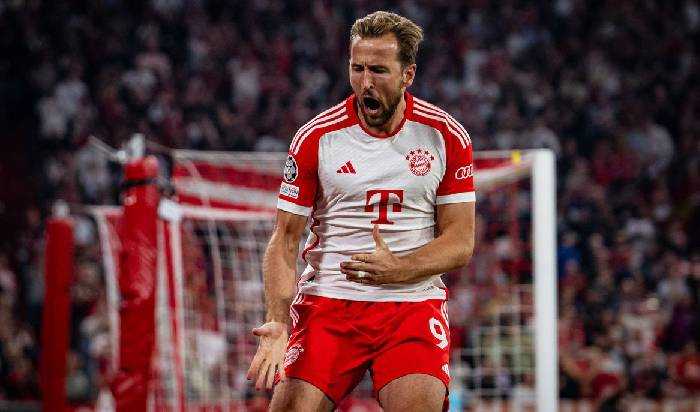 Nhận định bóng đá Bayern Munich vs Heidenheim, 21h30 ngày 11/11