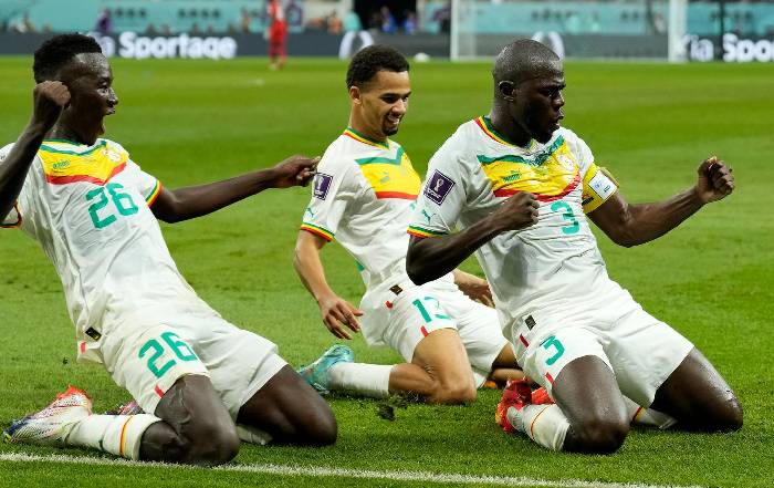 Nhận định bóng đá Senegal vs Niger, 1h ngày 9/1