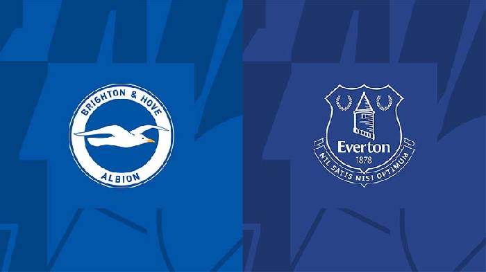 Nhận định bóng đá Brighton vs Everton, 22h ngày 24/2: Khó tin Mòng biển