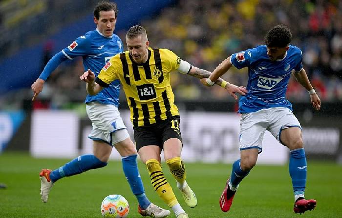 Nhận định bóng đá Dortmund vs Hoffenheim, 23h30 ngày 25/2