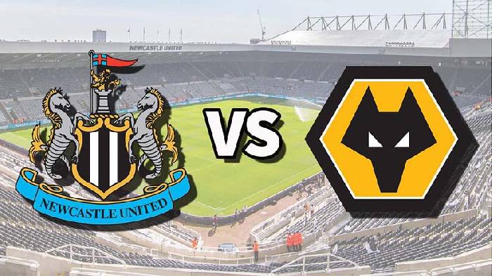 Nhận định bóng đá Newcastle vs Wolves, 22h ngày 2/3: Bắt vía Bầy sói