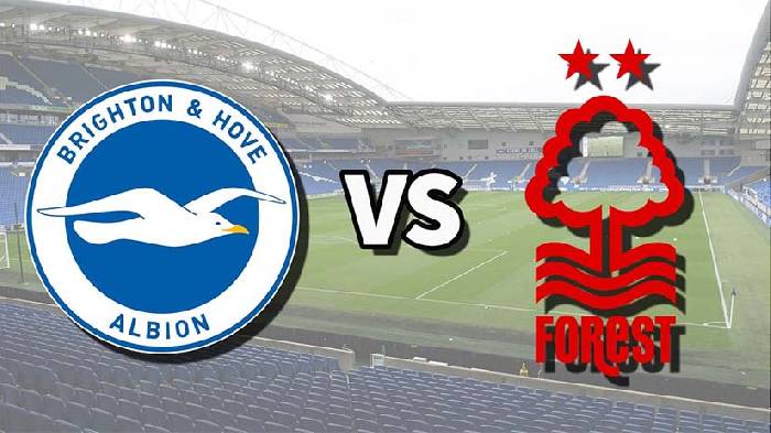 Nhận định bóng đá Brighton vs Nottingham Forest, 21h ngày 10/3: Chủ nhà giải hạn