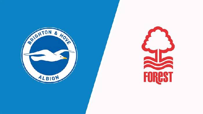 Soi kèo thẻ phạt Brighton vs Nottingham Forest, 21h ngày 10/3