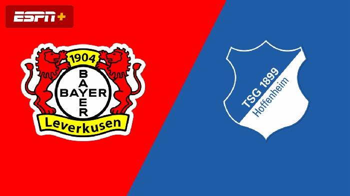 Nhận định bóng đá Leverkusen vs Hoffenheim, 21h30 ngày 30/3: Khẳng định vị thế