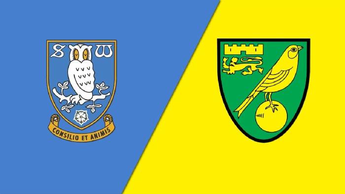 Nhận định bóng đá Sheffield Wed vs Norwich City, 01h45 ngày 10/4: Động lực vẫn hơn