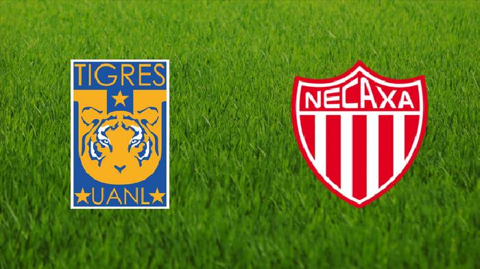 Nhận định bóng đá Tigres UANL vs Necaxa, 08h05 ngày 21/4: Quyết liệt tranh tài