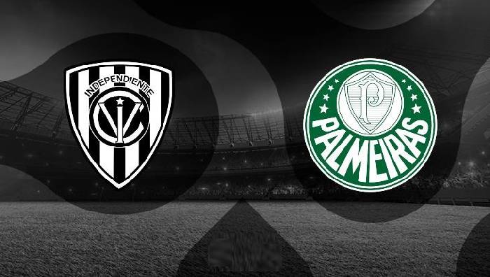 Nhận định bóng đá Independiente del Valle vs Palmeiras, 07h30 ngày 25/4: Thể hiện bản lĩnh