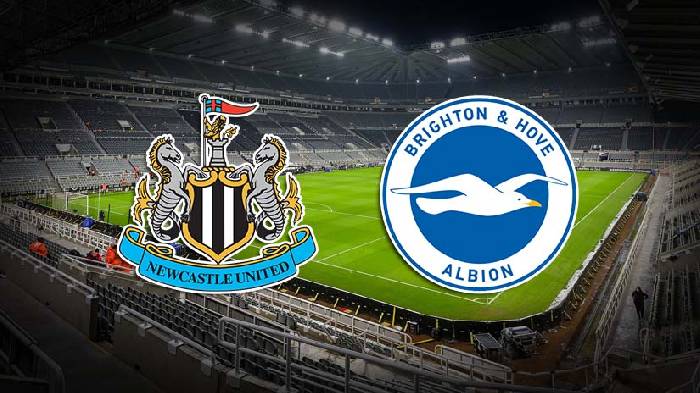 Soi kèo thơm trận Newcastle vs Brighton, 21h ngày 11/5 - Ngoại hạng Anh