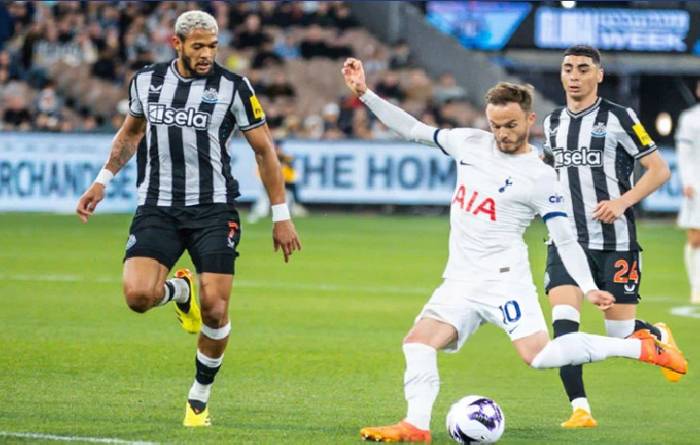 Nhận định bóng đá Newcastle vs Tottenham, 19h30 ngày 1/9: Bất phân thắng bại