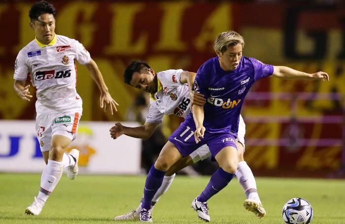 Nhận định bóng đá Hiroshima Sanfrecce vs Nagoya Grampus, 16h30 ngày 8/9