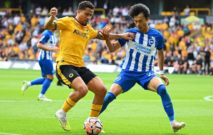 Nhận định bóng đá Brighton vs Wolves, 1h45 ngày 19/9