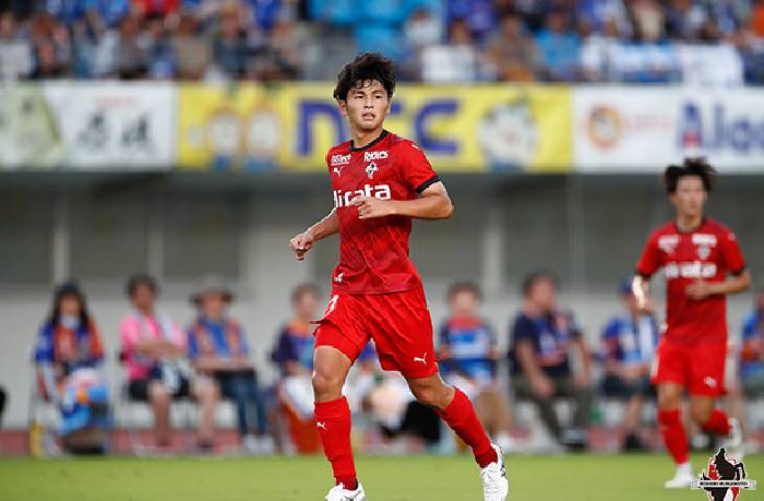 Nhận định bóng đá Ventforet Kofu vs Roasso Kumamoto, 17h ngày 25/9