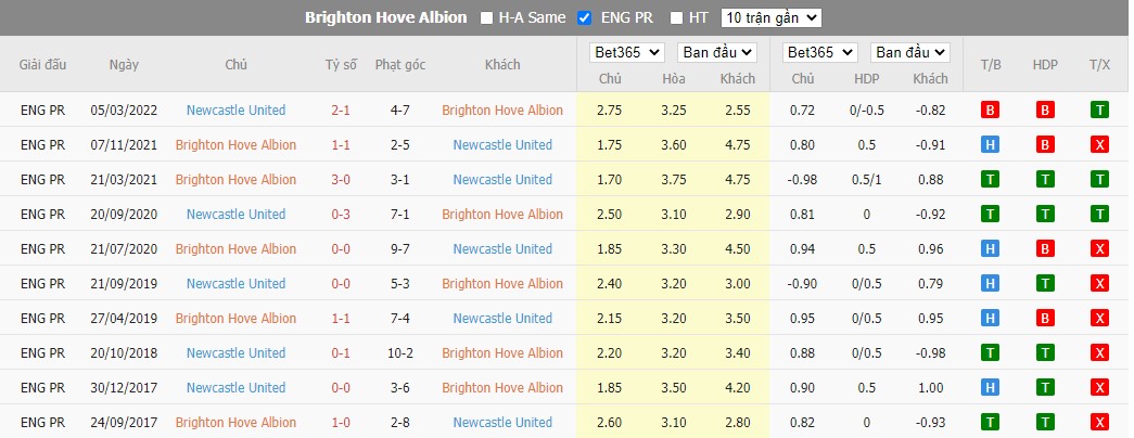 Nhận định Brighton vs Newcastle, 21h00 ngày 13/08, Ngoại Hạng Anh  - Ảnh 3