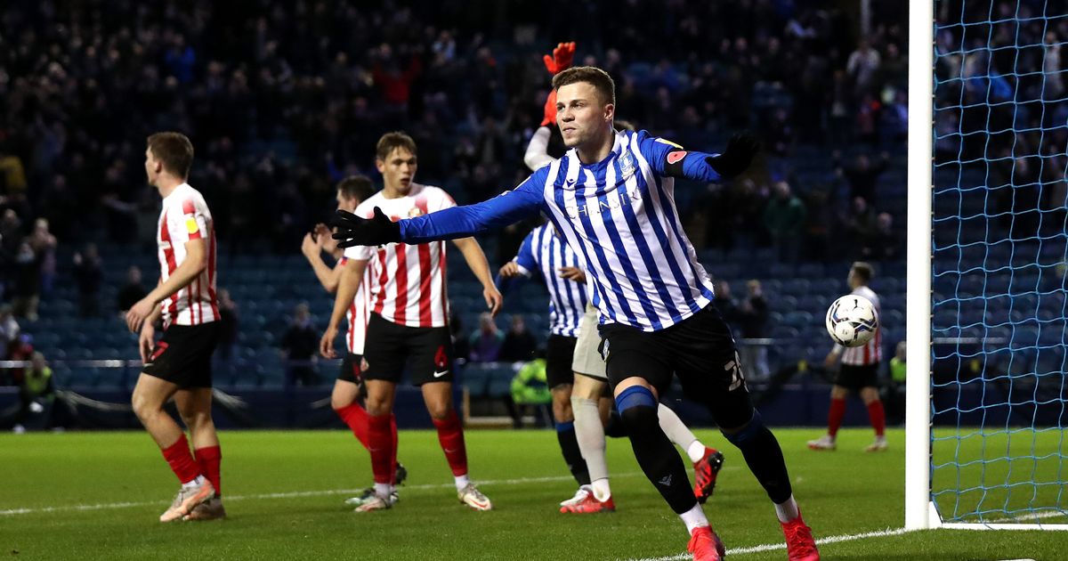 Nhận định Sheffield Wednesday vs Sunderland, 01h45 ngày 11/8, League Cup - Ảnh 1