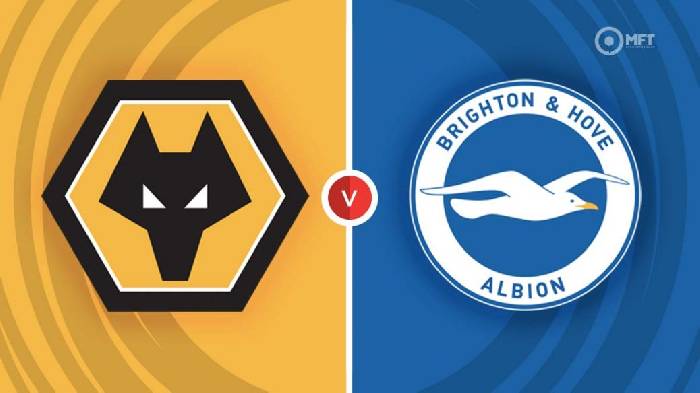 Nhận định Wolves vs Brighton, 22h00 ngày 05/11, Ngoại hạng Anh