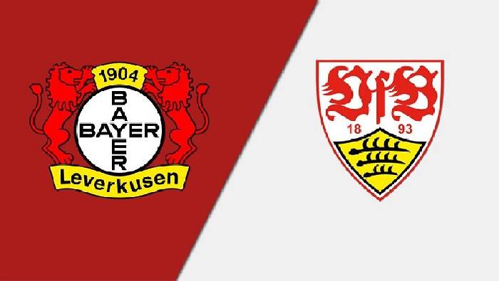 Nhận định Leverkusen vs Stuttgart, 21h30 ngày 12/11, Bundesliga